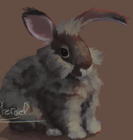 Realistic drawing of a fluffy pet rabbit. Large brush strokes paint the fur, giving volume.