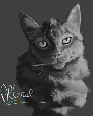 Realistic black & white portrait of a majestic cat. The subject is centered, eyed looking directly in front of it, mesmerizing. The fur is represented by confident brush strokes.