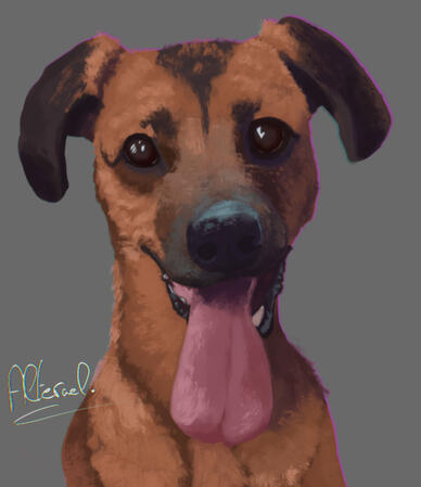 Lovely lady dog painted realistically. Tongue is out playfully and the eyes are big and bright. The colors here are vibrant and warm.