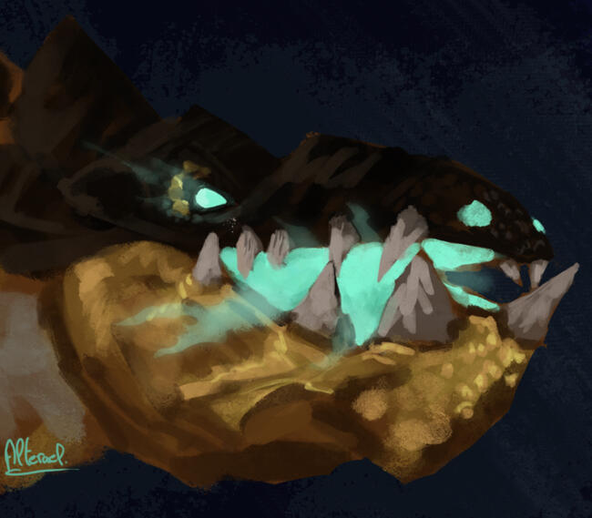 Time Lost Proto Drake