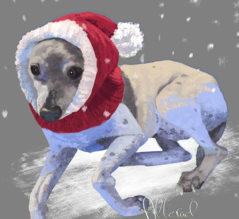 An original one : full body of a short haired dog wearing Santa's hat. The colors are gentle, showing the tenderness of the scene. The dog is lit by a blue light underneath that complete the whole "Winter" vibe. I added snowflakes to complete the look.