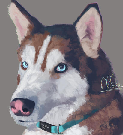 Realistic painting of a beautiful husky with icy blue eyes. The fur is represented loosely and the colors are saturated.